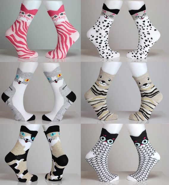 Colorful Cat Socks