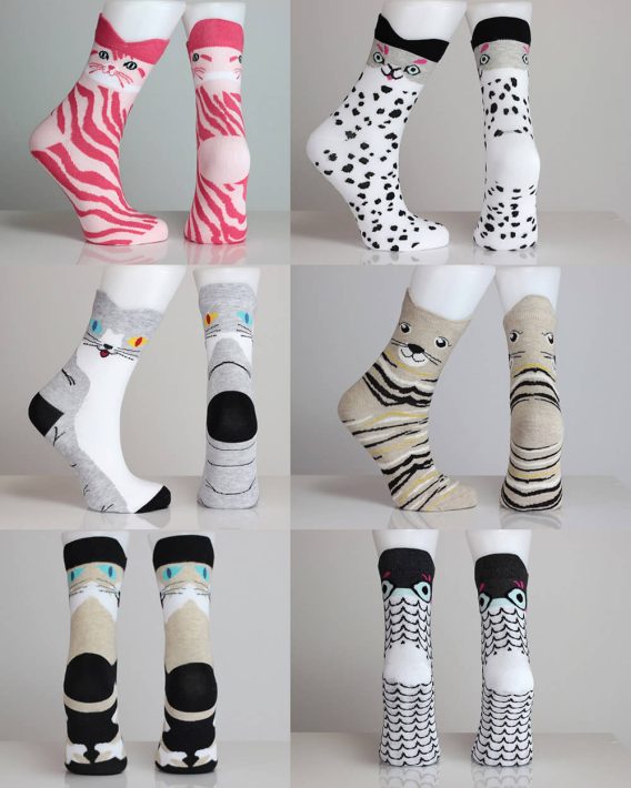 Colorful Cat Socks